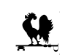 Pivach rooster